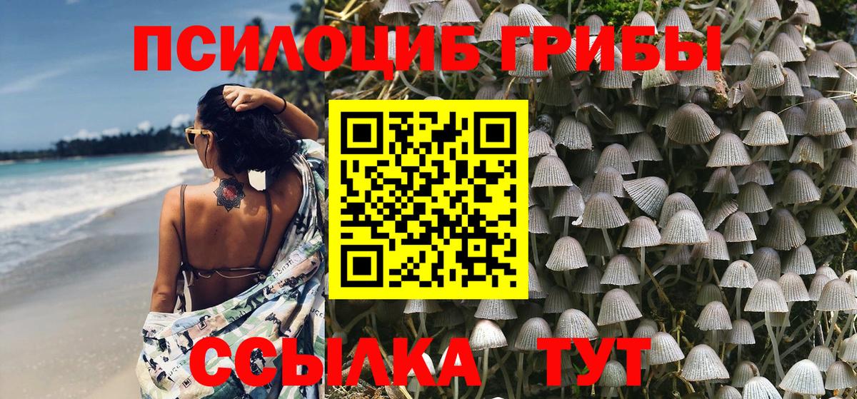 Галлюциногенные грибы Psilocybe Шадринск