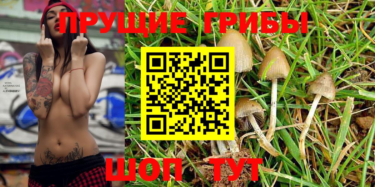 Галлюциногенные грибы Magic Shrooms  Вход с VPN  Шадринск 
